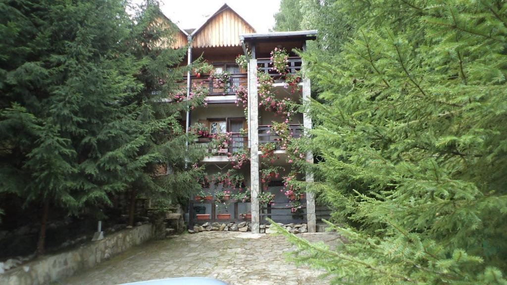 Villa Doina Voroneț Extérieur photo